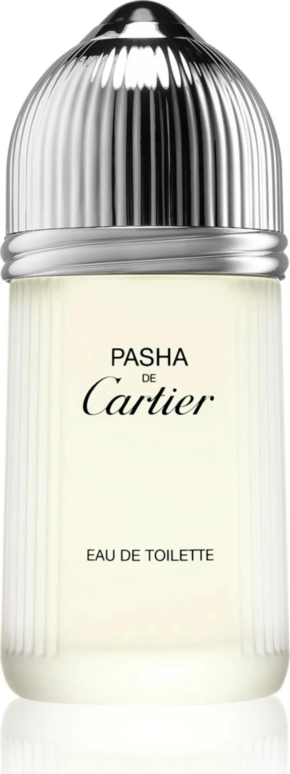 Pasha de Cartier toaletní voda pro muže 100 ml