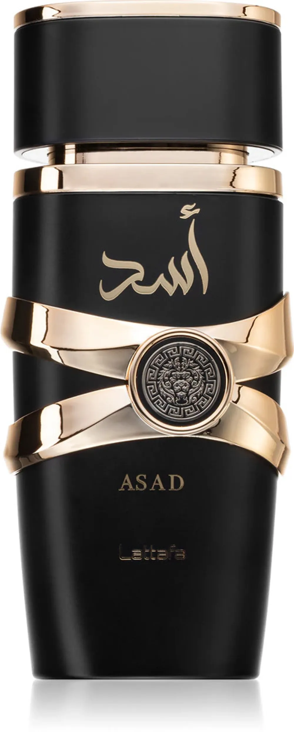 Asad parfémovaná voda pro muže 100 ml